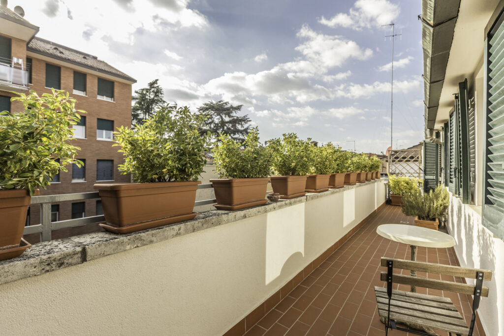 sanPetronioVecchio_044