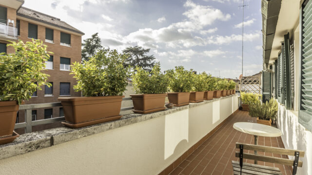 sanPetronioVecchio_044